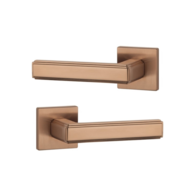 Дверна ручка APRILE Raflesia Q 7S AS мідь матова PN PVD (тонка розетка) Зображення