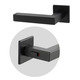 Дверна ручка AKRA Tempo WC Q Lock BK univ, 38-45mm чорний Зображення