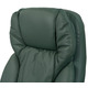 Крісло АКЛАС Тіроль EX GB-236WW (Шкіра Lux LC Green/PU Green) Зображення