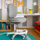 Дитяче крісло Evo-Kids Mio Ergo Lite Grey (арт.Y-507 Lite G) Зображення