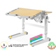 Дитячий стіл Mealux Ergowood L Multicolor MG (арт. BD-810 MG/MC) Зображення