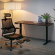 Стол Mealux PowerDesk Duo Antique (арт. EVO-242 Duo Antique /B) Изображение