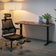 Стол Mealux PowerDesk Duo Walnut (арт. EVO-242 Duo Walnut /B) Изображение