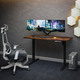 Стіл Mealux PowerDesk Energy Antique з електрорегулюванням висоти (арт. EVO-201 Energy A/B) Зображення