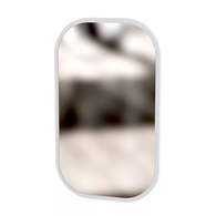 Дзеркало Art in Head 100 Swan 600x1000x10 Білий супермат (AG09010000000) Зображення
