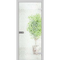 Міжкімнатні двері Wakewood All-glass 06  Зображення